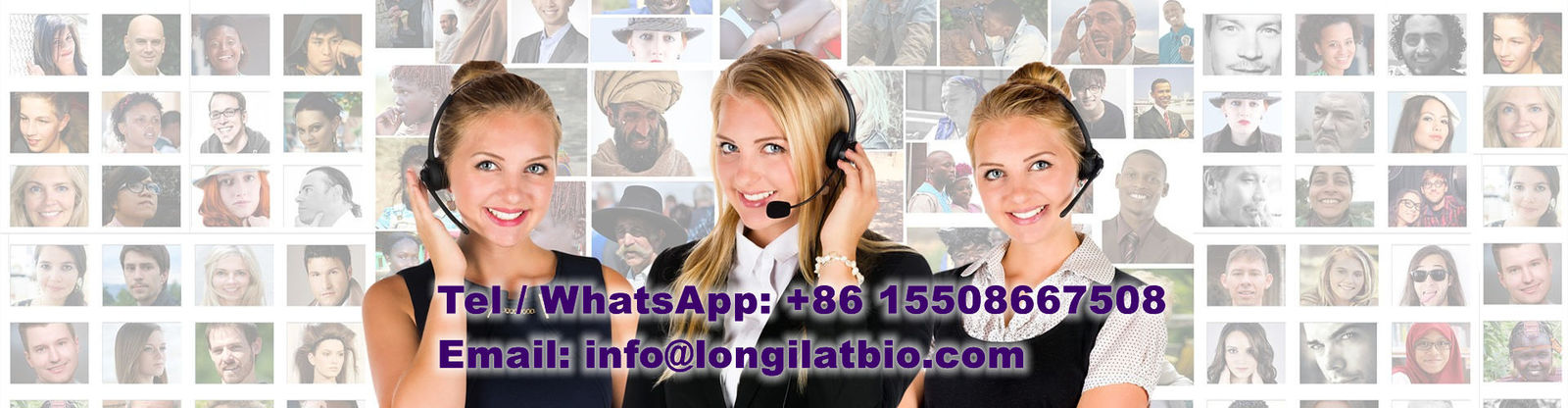 qualidade GS-441524 fábrica