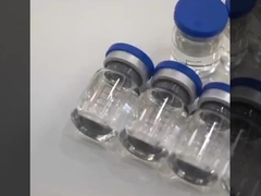 GS441524 Medicina veterinária para doenças dos felinos