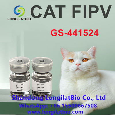 Anti PLF GS 441 20mg/ML do gato do tratamento do PLF do PLF Remdesivir