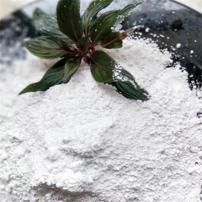 Comprar Allantoin em pó de alta qualidade para formulações de cuidados com a pele CAS 97-59-6