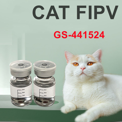 Tratamento farmacêutico GS441524 do PLF GS para o gato 20mg/ML 30mg/ML