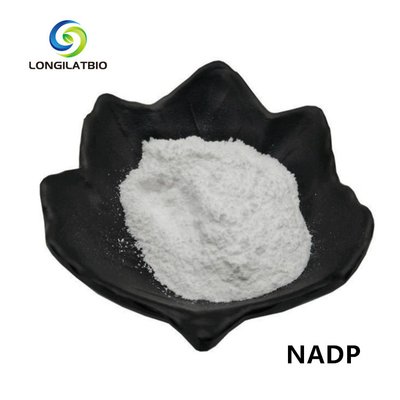 Fosfato do Dinucleotide da adenina da Beta-nicotinamida do pó de NADPH+